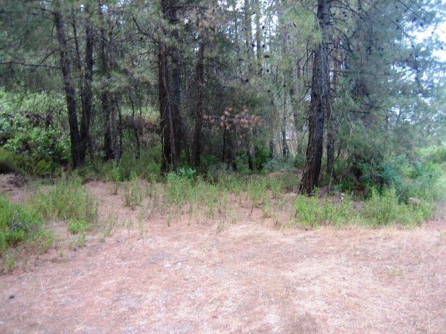 Land for sale in Kato Platres